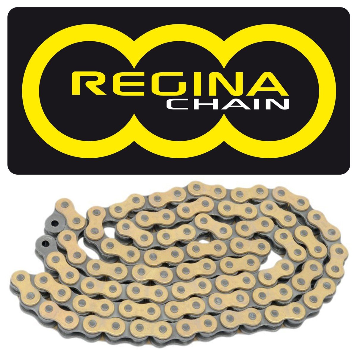 Main image of KTM GPXV Gold Racing Chain by Regina